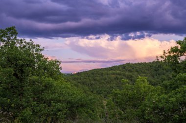 Çevresel turizmi, sürdürülebilirliği veya seyahat merkezlerini desteklemek için ideal, canlı ve dramatik bir gökyüzü altında yuvarlanan yeşil tepelerin büyüleyici doğal manzarası.