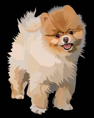 Renkli Yorkshire Teriyeri köpek kafası pop sanat tarzında. vektör illüstrasyonu