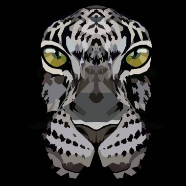 Siyah arka planda leopar.