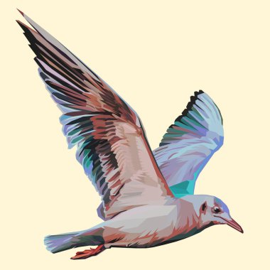 Pop sanat tarzında renkli uçan kartal. Vektör illüstrasyonu.retro biçimi