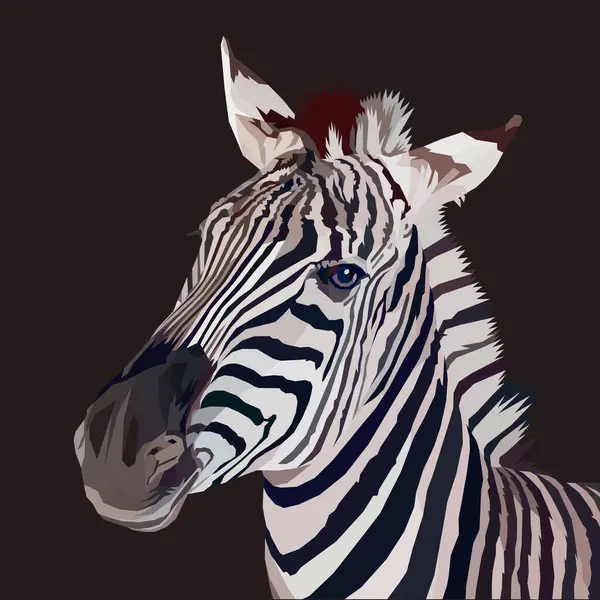 Siyah arka plan üzerine izole zebra