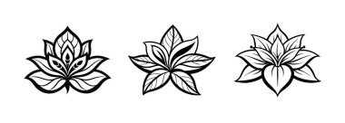 Beyaz arka planda siyah ve beyaz çizgili egzotik bir çiçek, dekoratif ve retro tarzı.