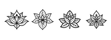 Beyaz arka planda siyah ve beyaz çizgili egzotik bir çiçek, dekoratif ve retro tarzı.