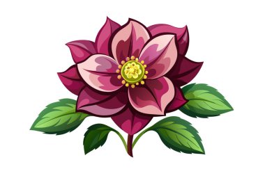 Beyaz arkaplandaki karadelik çiçeğinin vektör illüstrasyonu.