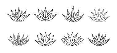 Siyah beyaz Aloe Vera Bitki Koleksiyonu.