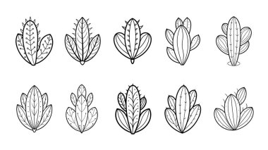 Siyah ve Beyaz Kaktüs Resimleri Koleksiyonu.