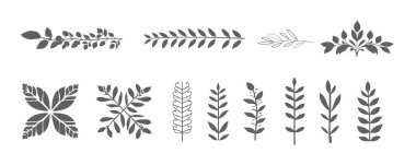 Farklı yaprak ve bitkiler..