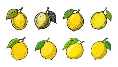 Sekiz Ayrıntılı Elle Çizilmiş Yapraklı Limonlar Koleksiyonu.