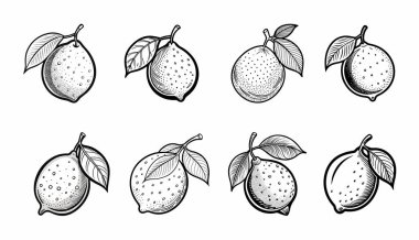 Yapraklı limonlar..