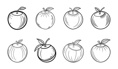 Farklı stil Hindistan cevizi ana hatları Renklendirme Kitabı Sayfa Çizgisi Sanatı Beyaz arkaplan üzerine çizim.