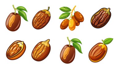 Beyaz arkaplandaki çeşitli tarih meyveleri.