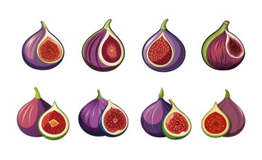 Beyaz zemin üzerinde izole edilmiş düz vektör illüstrasyon ikonu seti. farklı tipler