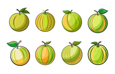 Beyaz arkaplanda ballı kavun vektör illüstrasyonu koleksiyonu.