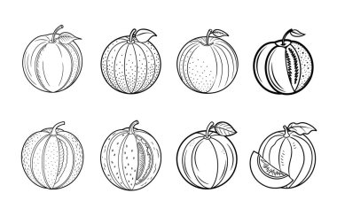 Farklı stil Hindistan cevizi ana hatları Renklendirme Kitabı Sayfa Çizgisi Sanatı Beyaz arkaplan üzerine çizim.