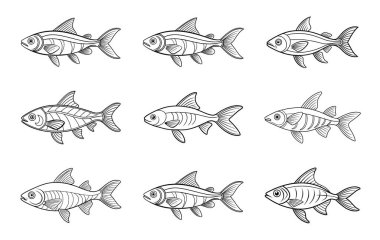 Renklendirme Kitapları için Çeşitli Biçimlerde Siyah ve Beyaz Balık Özeti