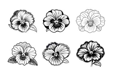 Ayrıntılı Siyah ve Beyaz İbne Çiçekleri Koleksiyonu