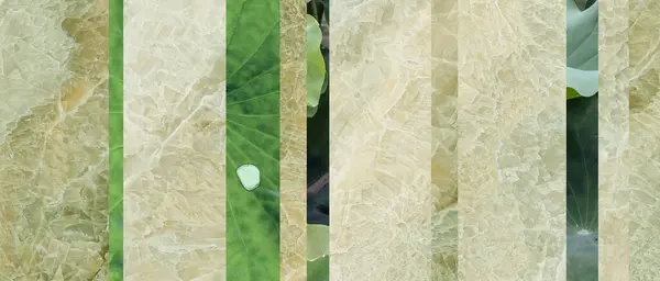 Sükunet lotus yaprakları ve taş mermer geometri desen dekorasyonu dijital kullanım için bu tür duvar kağıdı, iç tasarım veya afiş gibi. Huzurlu ve huzurlu doğa kavramı