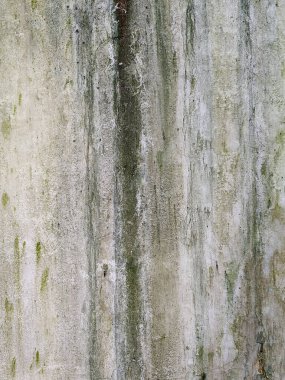 Yeşil, mavi ve gri farklı tonlarda yosun ve su çizgileri ile beton duvar