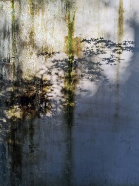 Yosun kaplı duvar kayalar ve yapraklarla kaplı. Yosun, dağılmış kayalar ve düşmüş yapraklarla kaplı taş bir duvarı doğal bir ortamda örterek doku ve renklerin uyumlu bir karışımını sergiliyor..