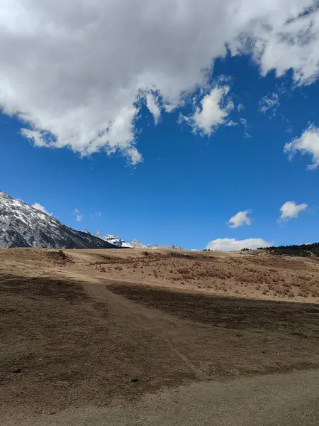 Karla kaplı dağ yolu, temiz hava ve yeşil otlarla dolu doğa manzarası.