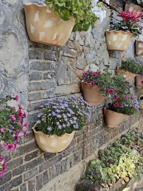 Köy evinin penceresinde kil kaplarda büyüyen renkli sardunyalar.