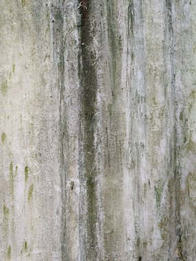 Yeşil, mavi ve gri farklı tonlarda yosun ve su çizgileri ile beton duvar