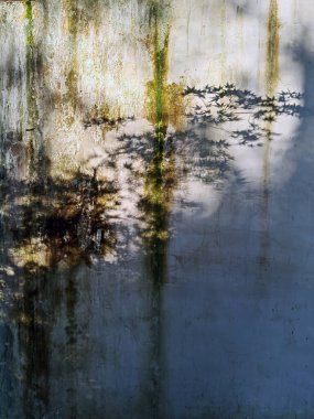 Yosun kaplı duvar kayalar ve yapraklarla kaplı. Yosun, dağılmış kayalar ve düşmüş yapraklarla kaplı taş bir duvarı doğal bir ortamda örterek doku ve renklerin uyumlu bir karışımını sergiliyor..