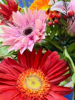 Renkli, zengin ve zarif. Ev dekorasyonu için doğal çiçekler..