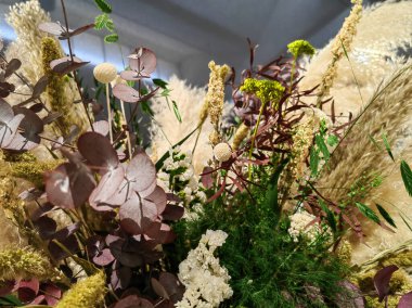 Renkli dekoratif dehidrat seti arka plan olarak kavanozdaki kuru çiçekleri kurutur.