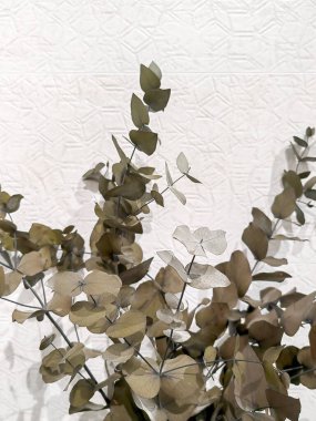 Renkli dekoratif dehidrat seti arka plan olarak kavanozdaki kuru çiçekleri kurutur.