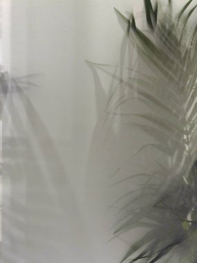 Tropikal yaprakların güzel gölgesiyle şeffaf cam ayna.