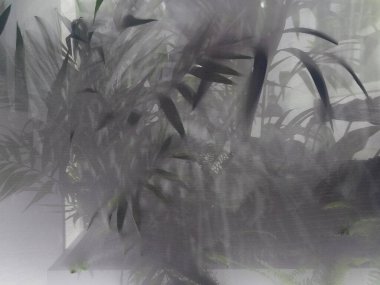 Tropikal yaprakların güzel gölgesiyle şeffaf cam ayna.