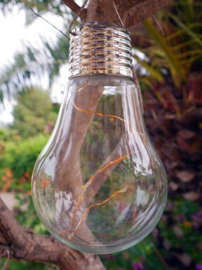 Güzel bir bahçede ampul