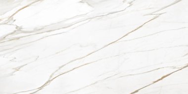 Yaratıcı desenli taş seramik duvar kağıdı tasarımı. Beyaz mermer