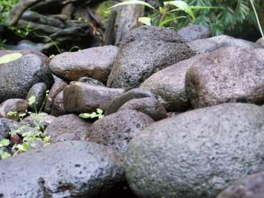 Kıyıdaki çakıl taşları nehre yakın. Arkaplan