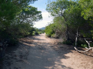 Altın gün batımında deniz kıyısı yolu