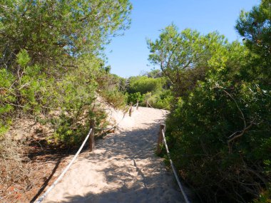 Altın gün batımında deniz kıyısı yolu