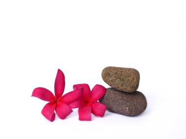 Dijital kullanım için pembe spa çiçekleri olan çakıl taşları. Taş ve çiçeklerle dolu sakin bir yaşam.