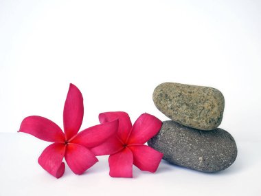 Dijital kullanım için pembe spa çiçekleri olan çakıl taşları. Taş ve çiçeklerle dolu sakin bir yaşam.