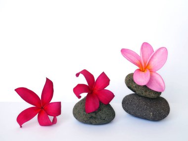 Dijital kullanım için pembe spa çiçekleri olan çakıl taşları. Taş ve çiçeklerle dolu sakin bir yaşam.
