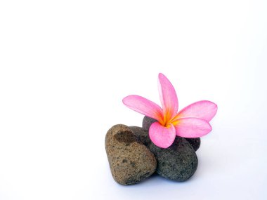 Dijital kullanım için pembe spa çiçekleri olan çakıl taşları. Taş ve çiçeklerle dolu sakin bir yaşam.