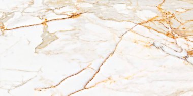 Yaratıcı desenli taş seramik duvar kağıdı tasarımı. Beyaz mermer