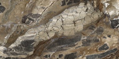 Yaratıcı desenli taş seramik duvar kağıdı tasarımı. Gri mermer