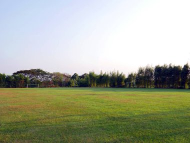 Doğal çimenleri ve mavi gökyüzü olan futbol sahası.