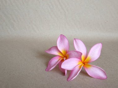 El sanatları arka planında tropikal çiçekler