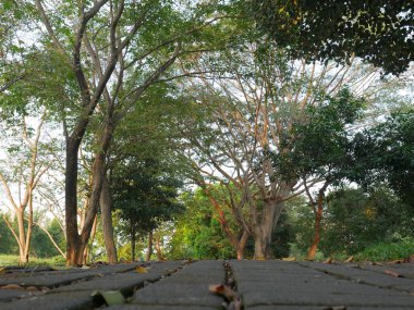 Valencia İspanya; 5 Temmuz 2021: Yerden gelen yol