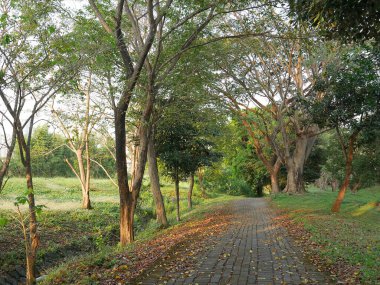 Valencia İspanya; 5 Temmuz 2021: Yerden gelen yol