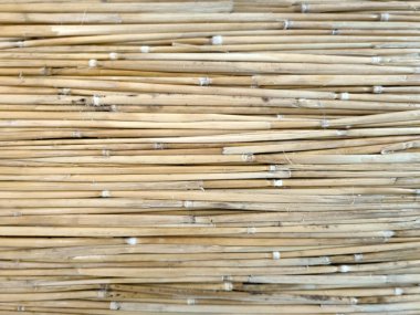 Rattan, sepet veya mobilya kanepe gibi yapmak için kullanılan malzemeler