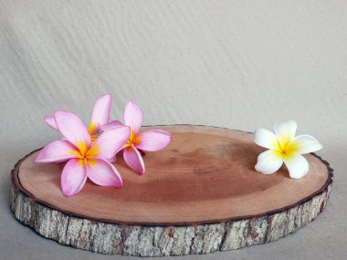 Süsleme için doğal destek üzerine tropik çiçek