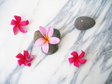 Zen çakıl taşları ve spa çiçekleri. Taş kaplıca ve sağlık konsepti.